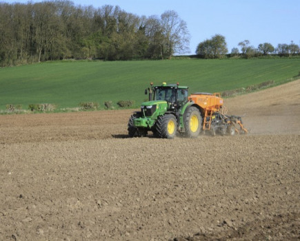 Optimise seed rates for higher yields