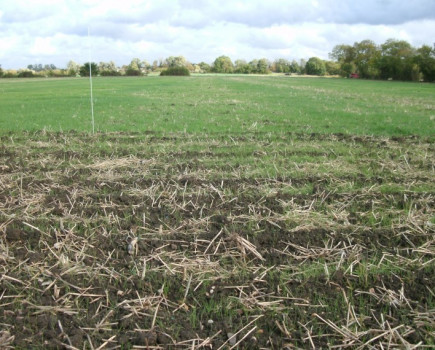 Less is more for autumn cultivations