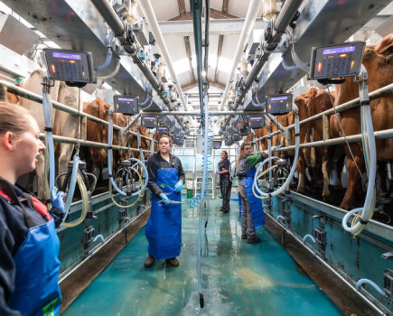 College invests in milking parlour