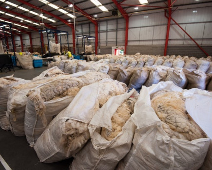 British Wool open for wool receipts as usual