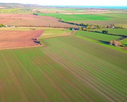 Seed drill trials begin