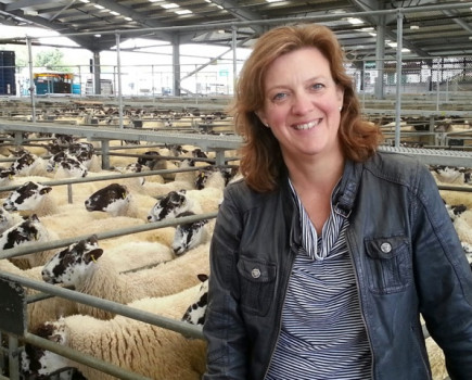 BBC Farming Today presenter to chair farming conference debate