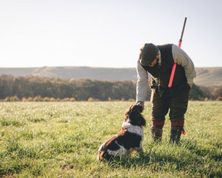 Protecting local habitats and local history