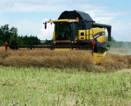 Achieving the most appropriate and effective desiccation in OSR