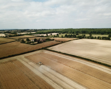 Mixed oilseed rape yields reported as growers plan to beat the beetle