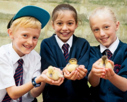 Event brings thousands of schoolchildren to showground