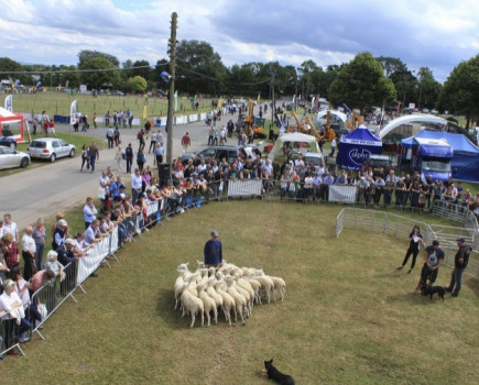 Top young shepherds prepare to compete