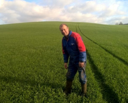 Undersow arable silage to boost 2018 forage