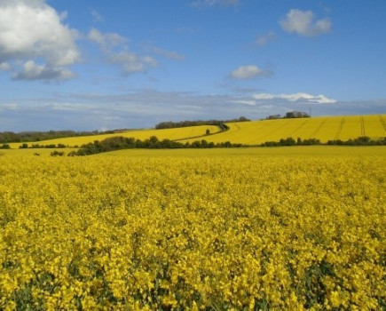 Walk to save the countryside