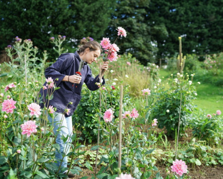 Compost pioneers