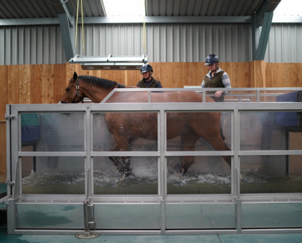 Hydrotherapy for horses