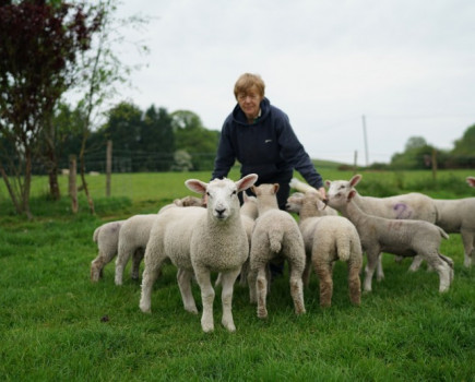 Royal wedding should make eating lamb trendy