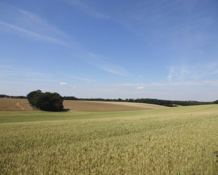 High quality farmland