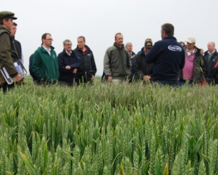 NIAB TAG brings variety and agronomy focus