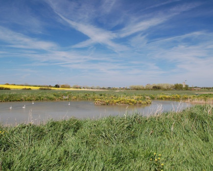 Arable land with flight pond