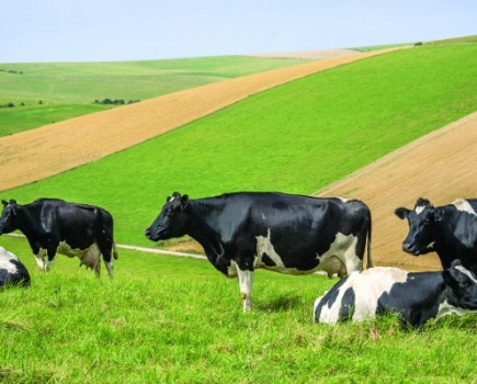 Dairy farms are packing up