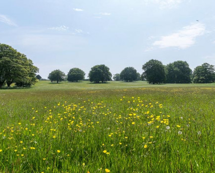 41st LEAF demonstration farm