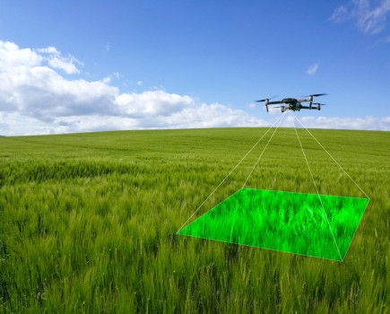 New drone technology revolutionises crop walking