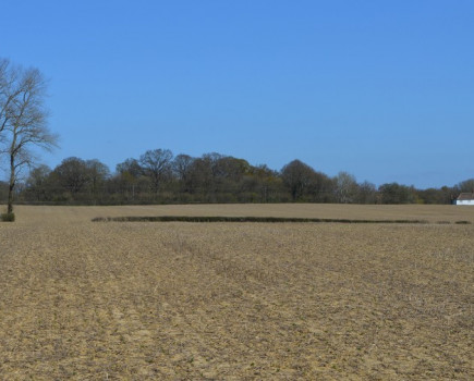 Arable land with some permanent pasture