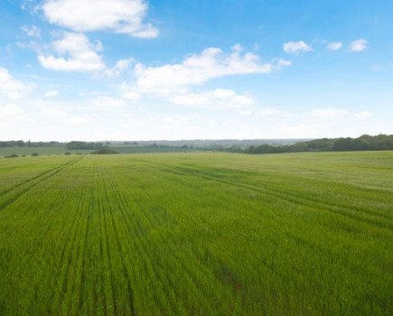 Opportunity to create a farm