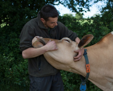 Farmers sell direct to beat the dairy crisis