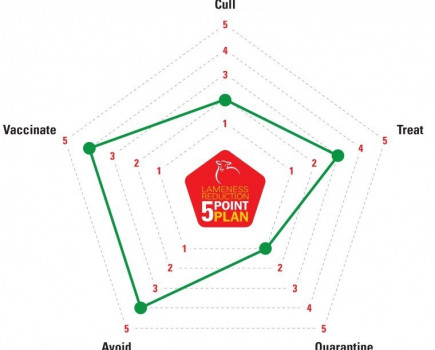 New on-farm sheep lameness control assessment tool