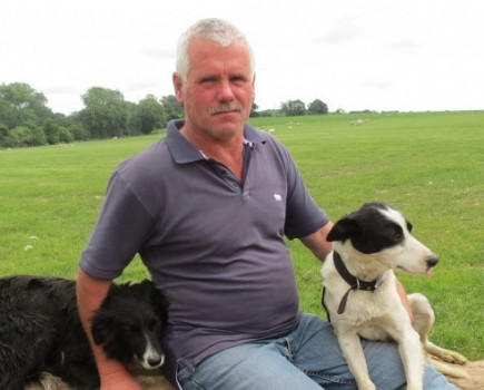 Lambing a giant sheep flock outside