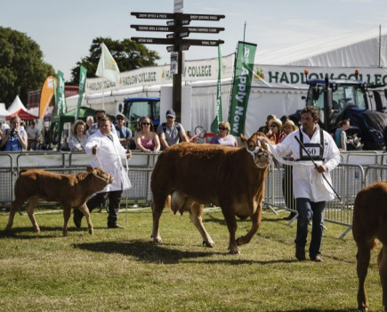 Building on record livestock numbers