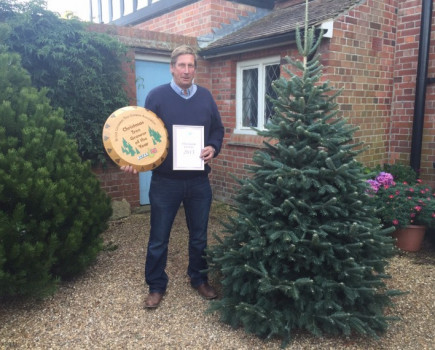 Downing Street Christmas tree crown is announced for 2015