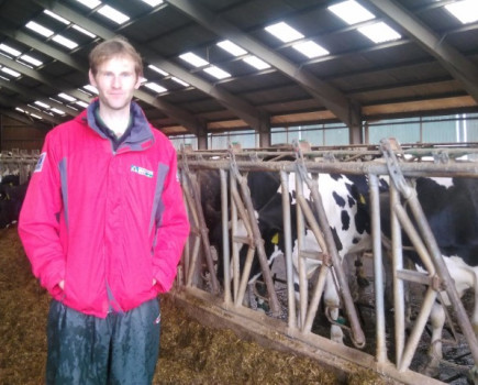 New vaccine to help tackle Mycoplasma Bovis