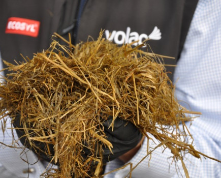 Dairy farmers urged to make more of ‘Brexit-proof’ forage and silage