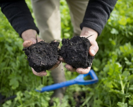 Time for growers to take a closer look at their soils