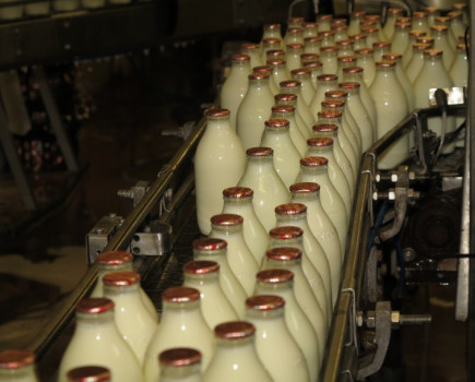 Cornering a larger share of the liquid dairy market