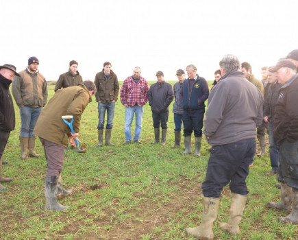 Keeping the pervasive weed under control