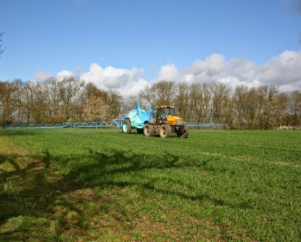 Control black-grass before it tillers