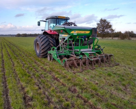 Soil biology improved with no-till on Essex farm