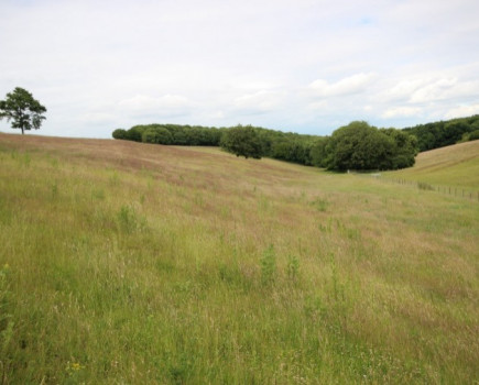 Re-fenced land with new water supply