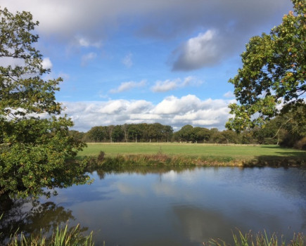 Acres in the low Weald