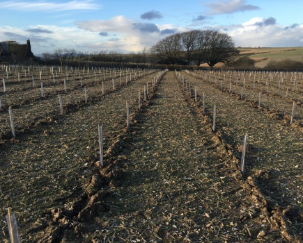 Forestry in the South East