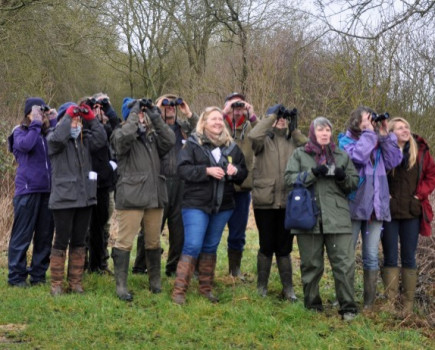 Farmers offered chance to identify birds