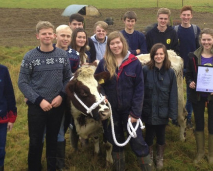 Long service awards for cows