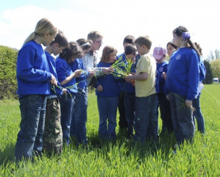 Farmer wins education award