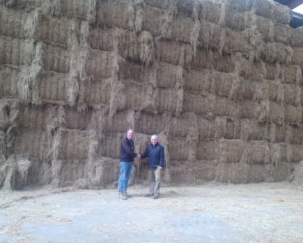 Firm sends feed to rescue Ireland’s farmers