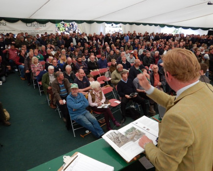 New UK record for vintage tractor