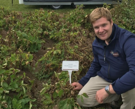 Canopy cover check for desiccation decision