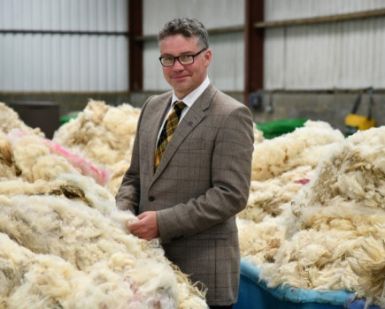 New Entrant backs British Wool support scheme