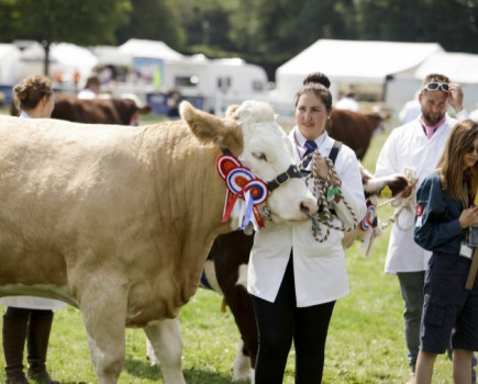 Kent County Agricultural Society calls for volunteers