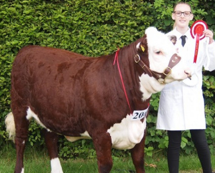 Brockhill YFC at the Kent County Show