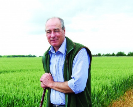 Early crops look like cabbage fields