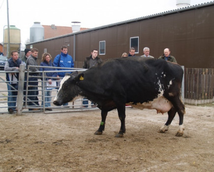 Early-warning system for lame cattle in future